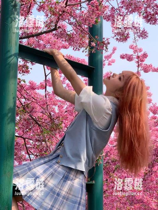 51吃瓜安卓专属，今天你一定得刷新几遍的热议！