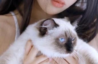 在全网吃瓜发布，一场约会变成了全民围观戏码！