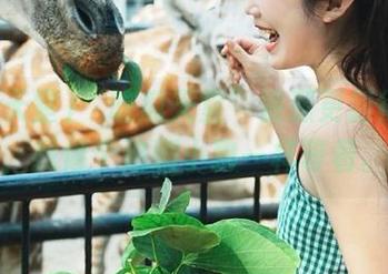 “吃瓜天堂”资源更新得飞起，我像个追剧小狗一样等着。