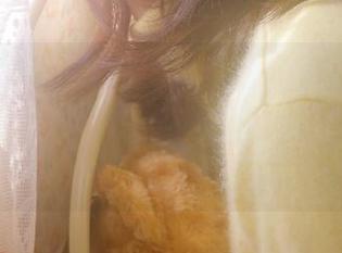 为了那些猛料，我心甘情愿卸载所有app，黑料网苹果版才是我恒久不变的爱！