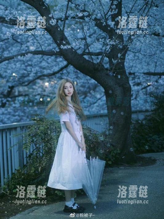 网页上热门事件大放异彩，黑料网的人气就像火箭！