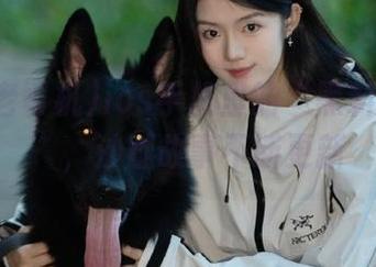 ios手机里的“黑料老司机”，沙雕故事不断更新
